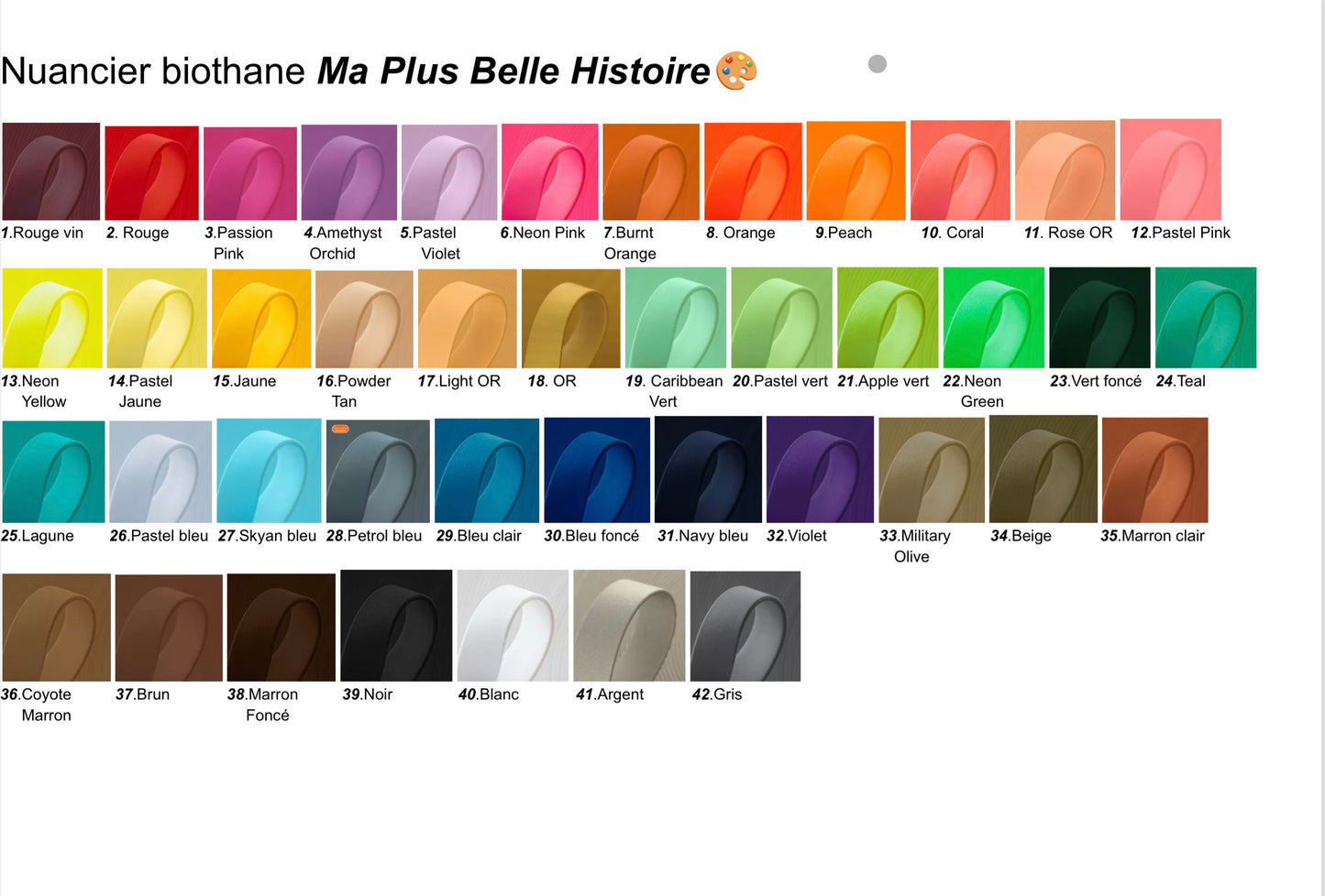 Laisse biothane 16 mm