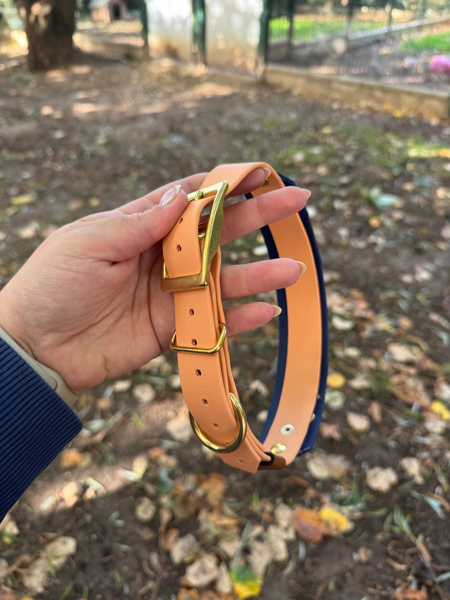 Collier chaîne papillon