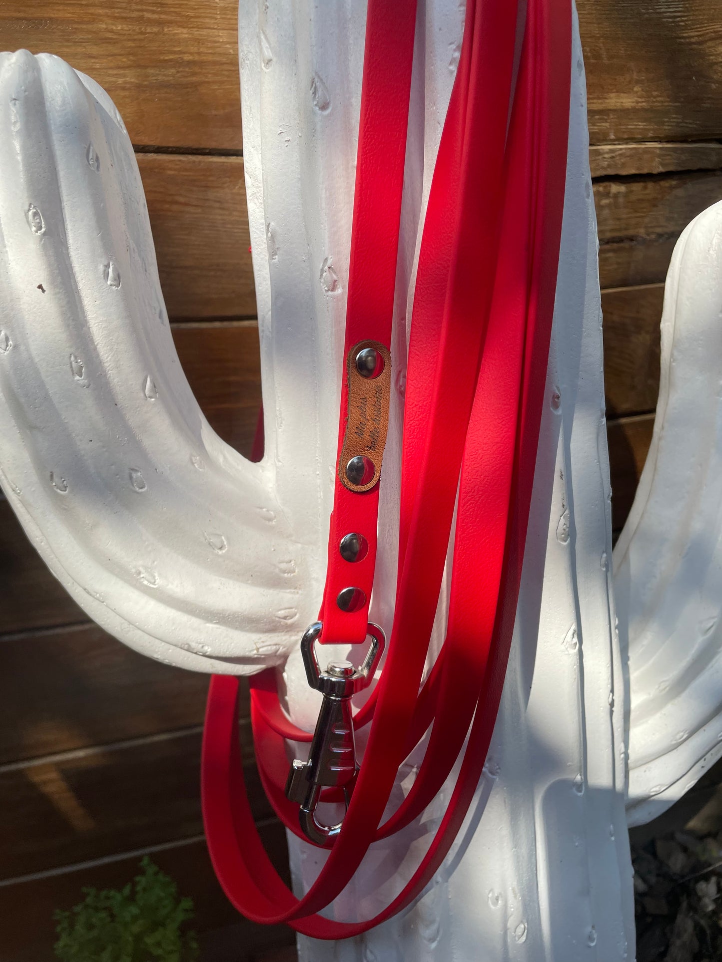 Longe biothane Chien