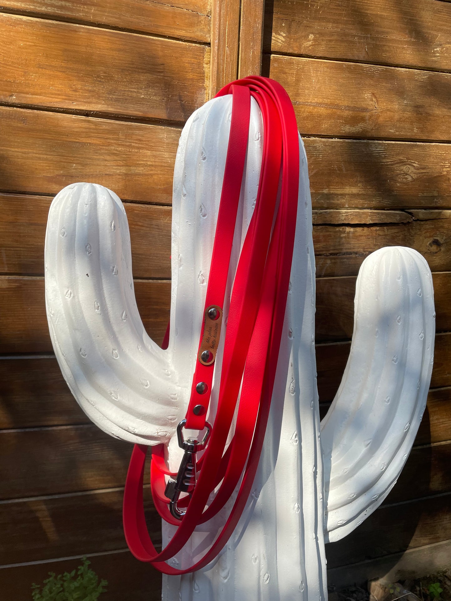 Longe biothane Chien