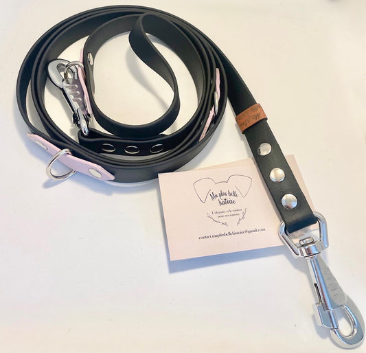 Laisse Multiposition