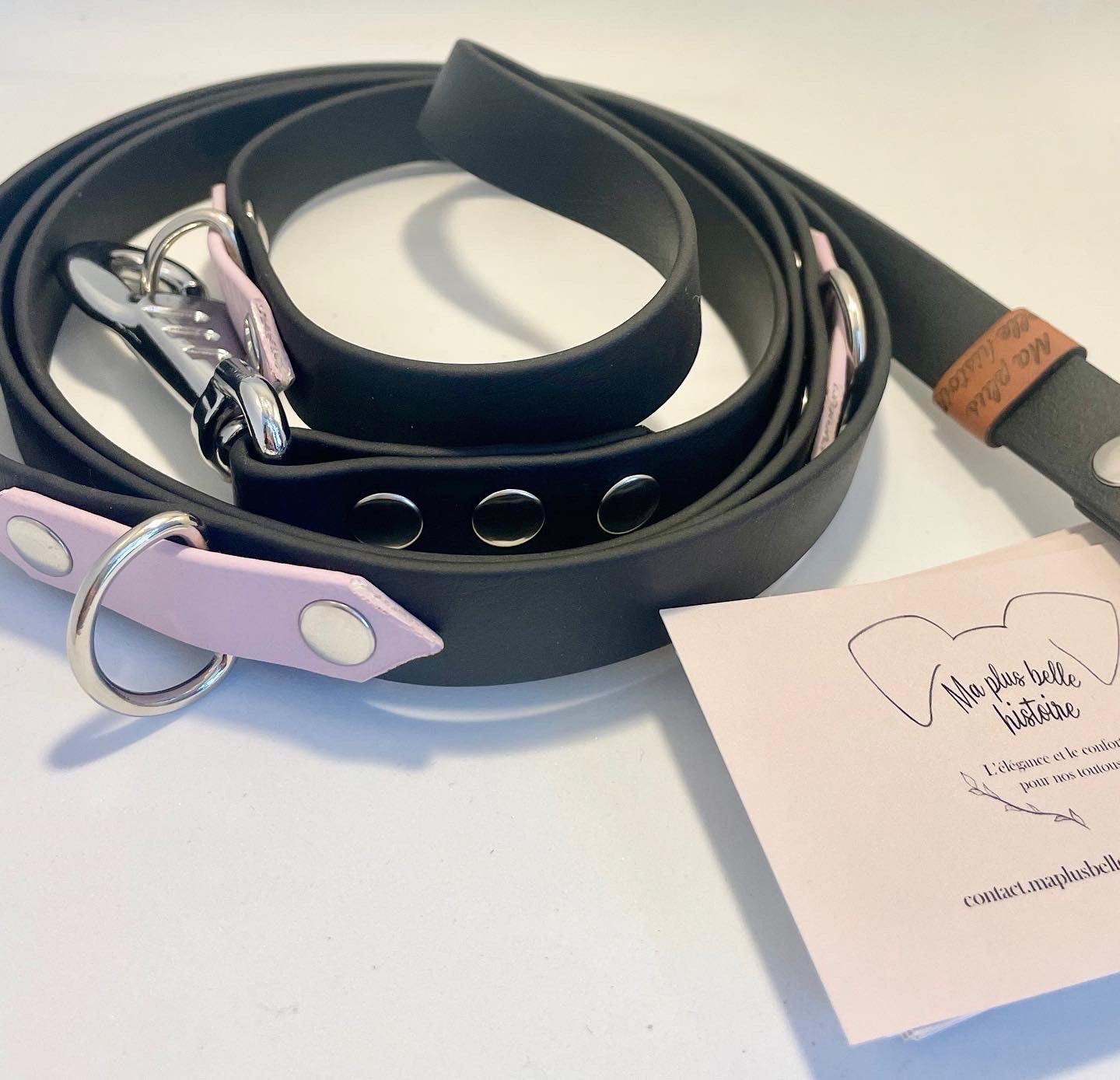 Laisse Multiposition