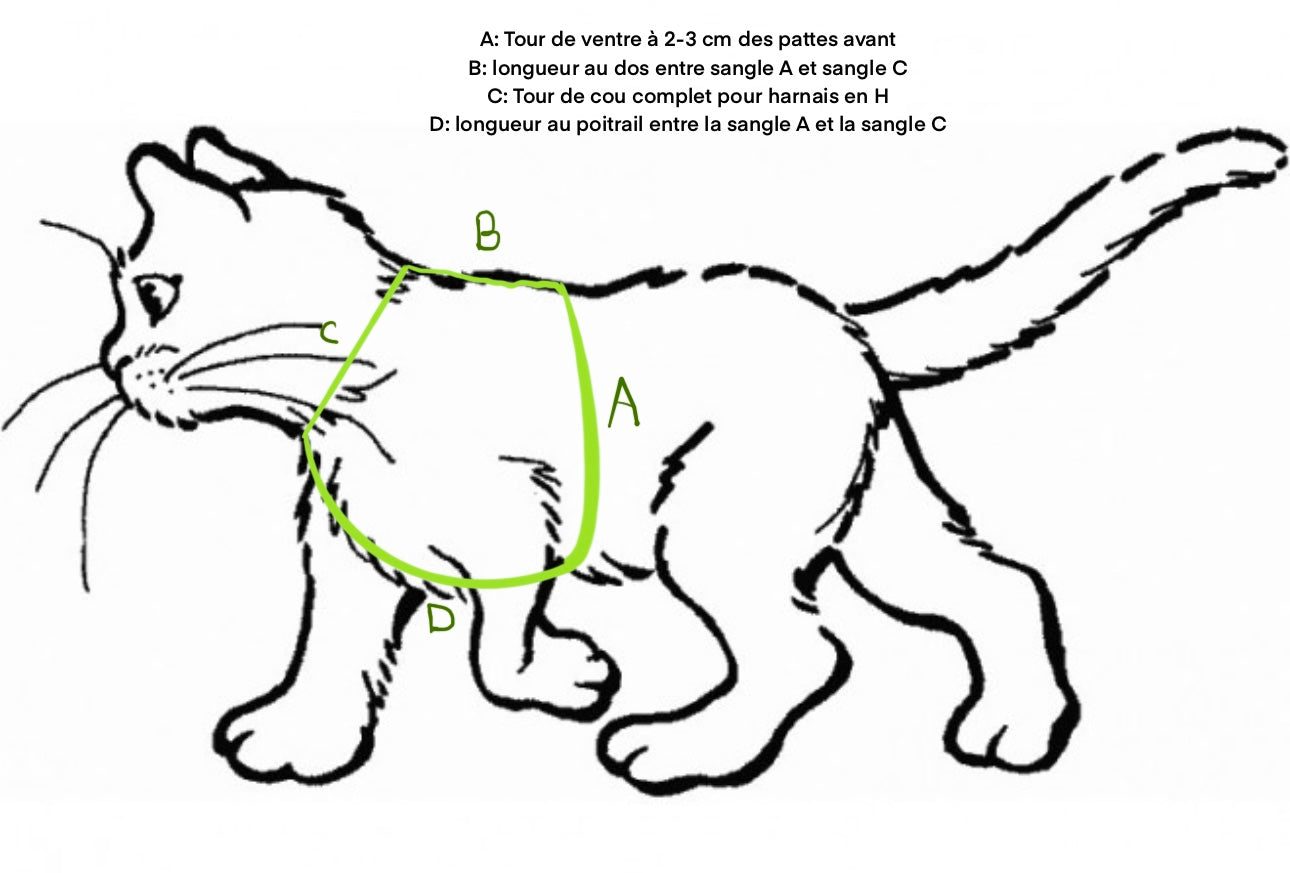 Harnais chat et petit chien