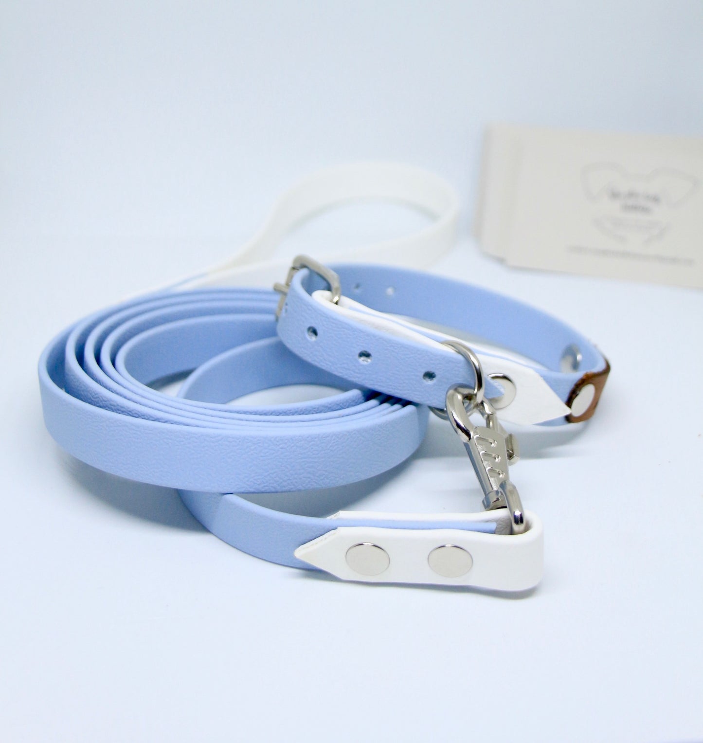 Ensemble chiot bicolore!