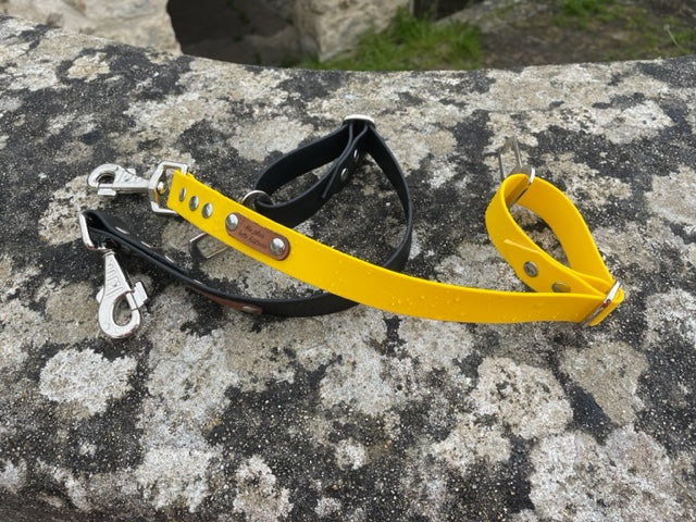 Ceinture de sécurité pour chiens