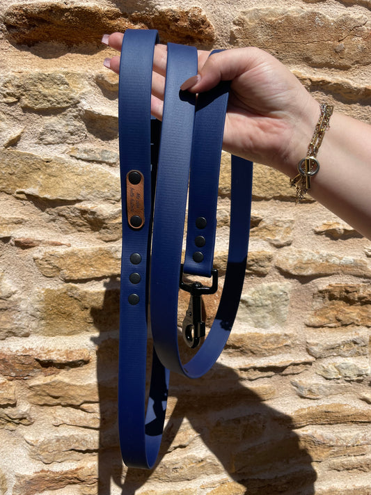 Laisse biothane 25 mm