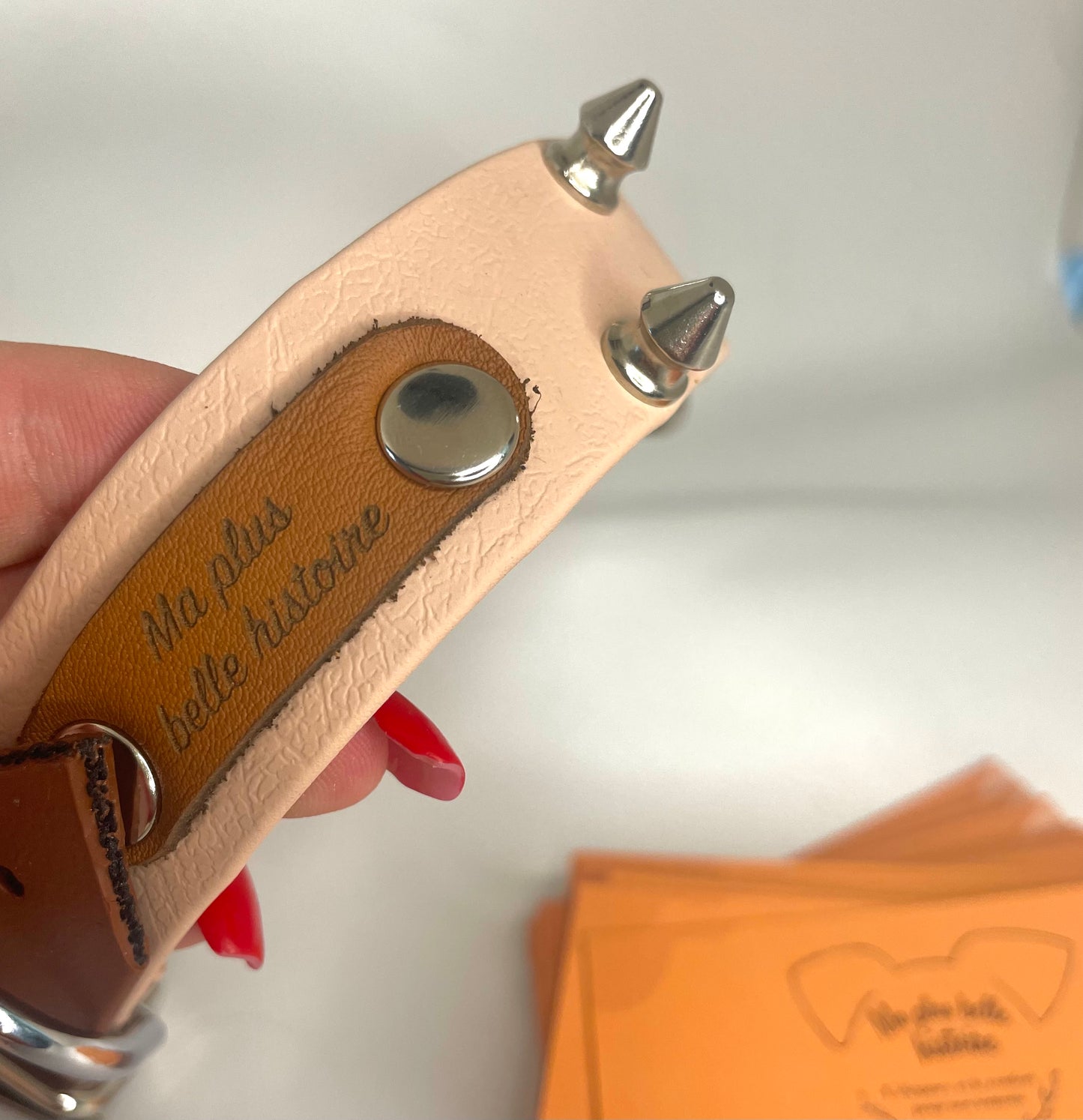 Collier Rocky à sauver!