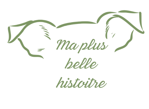 Ma plus belle histoire