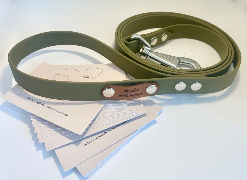 Laisse biothane 16 mm