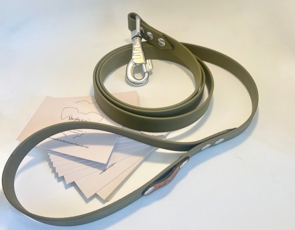 Laisse biothane 19 mm