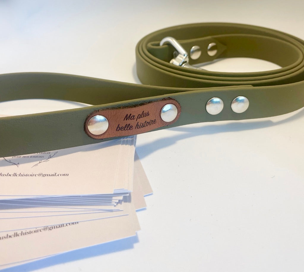 Laisse biothane 19 mm